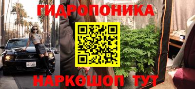 гашик Аргун