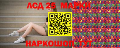 гашик Аргун