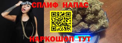 гашик Аргун
