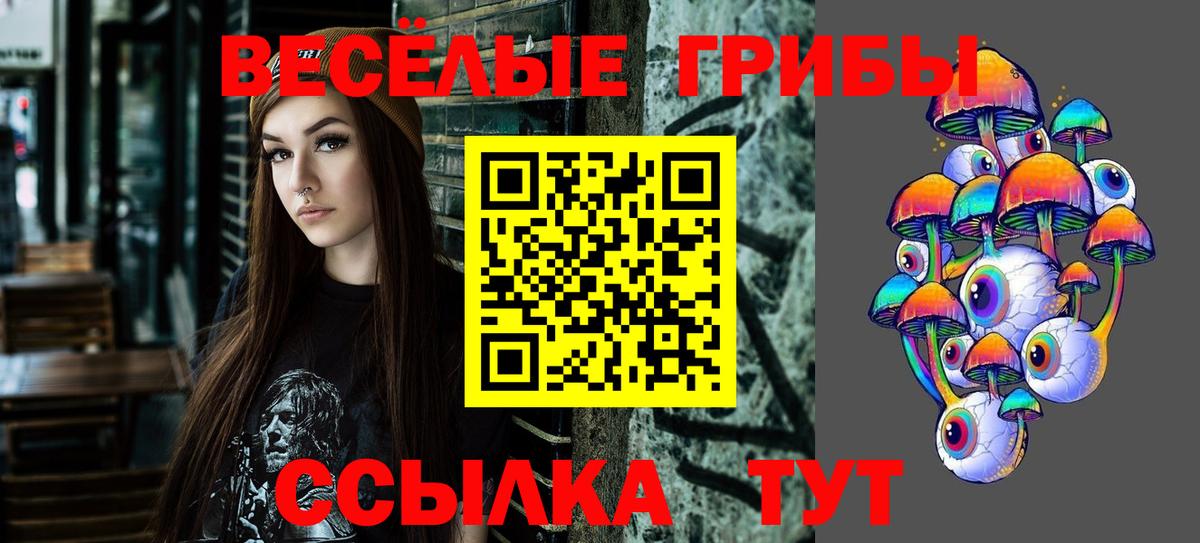 Галлюциногенные грибы Cubensis Белорецк